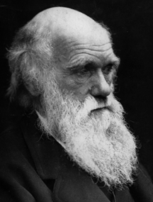 Charles Darwin, Old Salopian, naturalist
