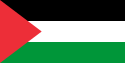 팔레스타인 국기