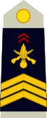 insignia with three chevrons