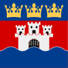 Jönköpings län vapenflagga.svg