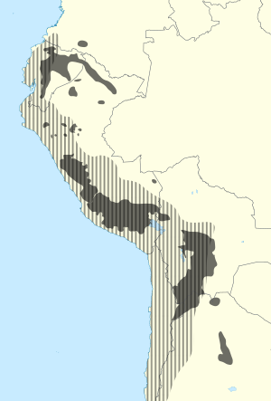 การกระจาย Quechuan (w Inca Empire) .svg