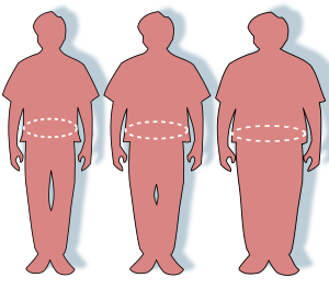 Tres siluetas que representan los contornos de una persona de tamaño óptimo (izquierda), con sobrepeso (medio) y obesa (derecha).