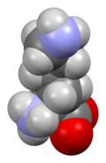 Lysine-from-xtal-3D-sf.png