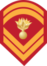 Insignia of a permanent Hellenic army sergeant.