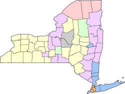Largest ancestry of each New York county (en).svg