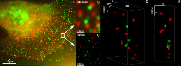 3D Dual Color Super Resolution Microscopy Cremer from 2010