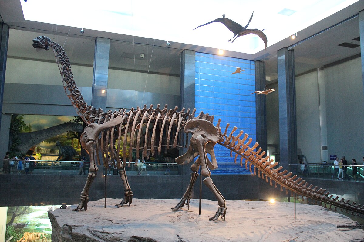 الديناصورات متحف متحف فوكوي