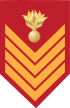 Army-GRE-OR-08b.svg