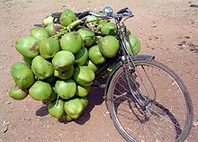 A bicycle loaded with so many green fruits that the rear wheel can not be seen.