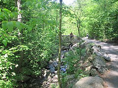 The North Woods with a pathway to the right and a bridge over a stream in the center