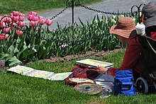 A woman in a large hat is doing a watercolor painting of pink tulips in front of her.