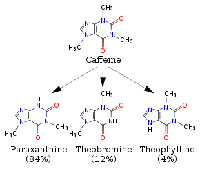 A diagram featuring 4 skeletal chemical formulas. Top (caffeine) relates to similar compounds paraxanthine, theobromine and theophylline.