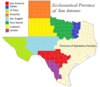 Ecclesiastical Province of San Antonio map.png