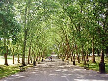 Photograph of a wide tree-lined road running through Crystal Palace Park.