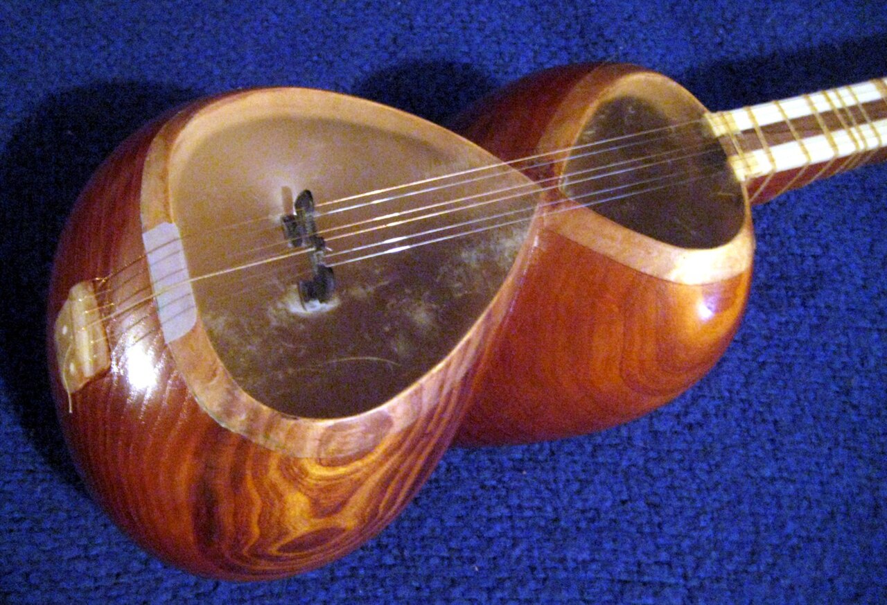 Tar (instrument à cordes)