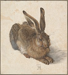 Painting of a hare by Albrecht Dürer