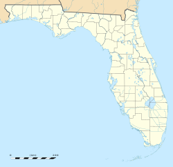 Virginia Anahtar Florida'da bulunan