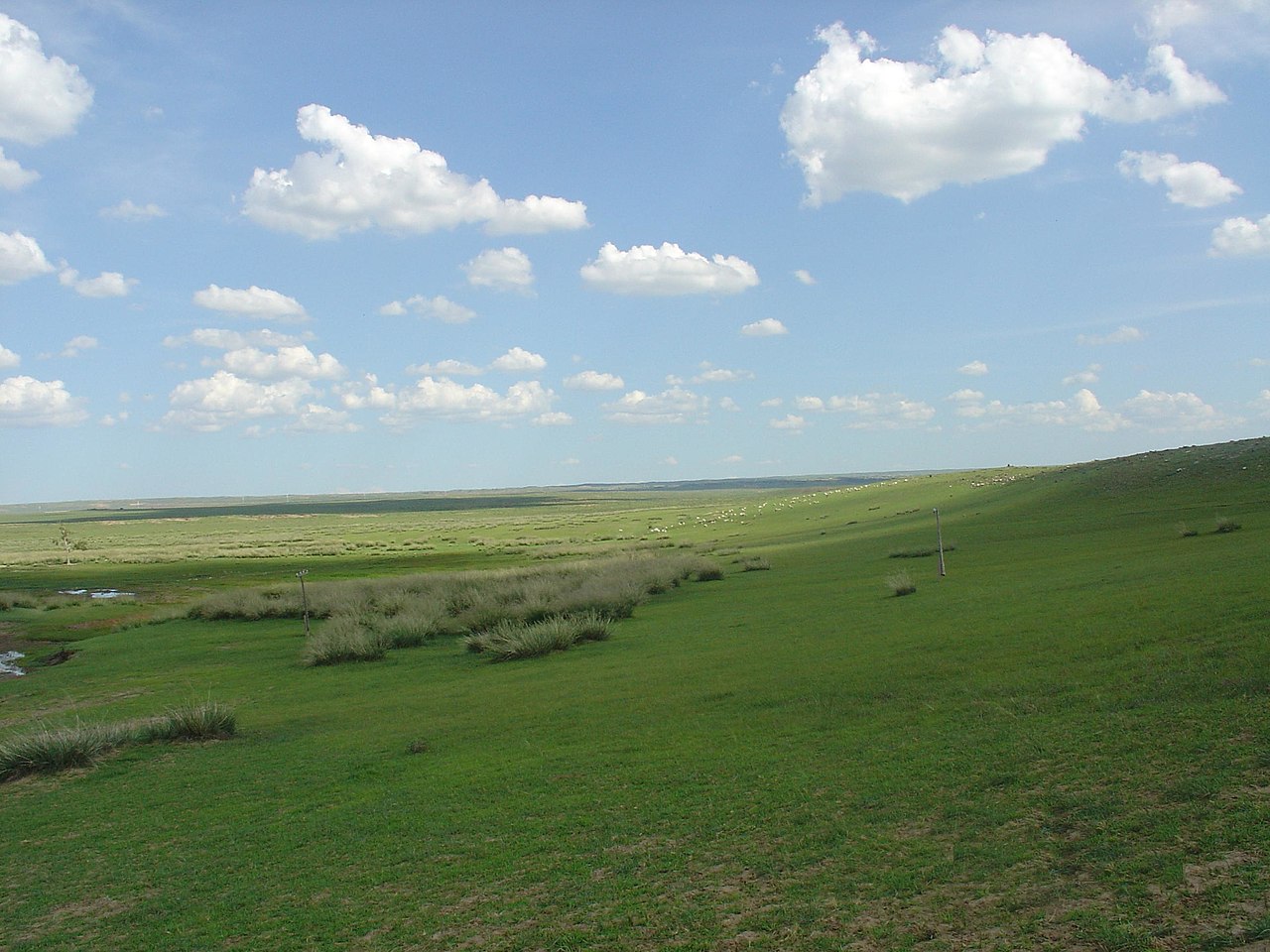 Prairie mongole-mandchoueRéglageetClimat