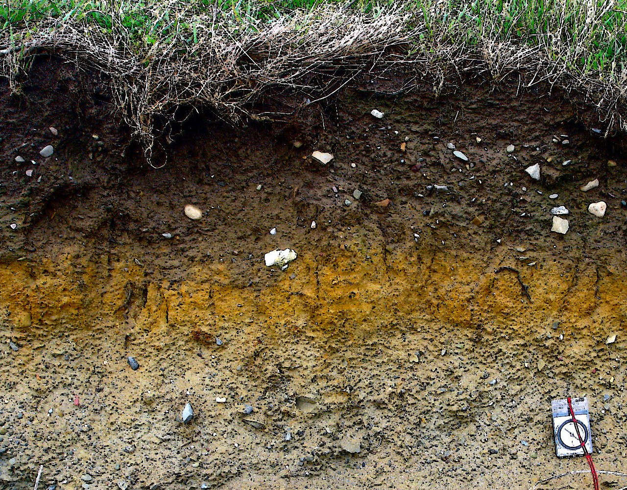 يسمى خليط المواد العضوية الميتة المتحللة التي تستخدم في تسميد التربة