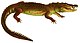 Description des reptiles nouveaux, ou, Imparfaitement connus de la collection du Muséum d'histoire naturelle et remarques sur la classification et les caractères des reptiles (1852) (Crocodylus moreletii).jpg