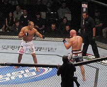 UFC 131 Carwin tegen JDS.jpg