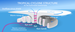 A schematic diagram of a tropical cyclone