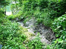 Photo of woodland stream with oyster shells covering the streambed