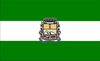 Флаг Сан-Жоакима