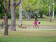 A child rides a bicycle. An adult and a child walk a dog along a path in a green park..