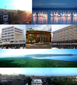Kloksgewys: Sunrise in Nakuru, Flamingos in Lake Nakuru, Avenue Suites Hotel, Baboon Cliff, Nakuru Skyline, Merica Hotel en ingang na Lake Nakuru National Park.