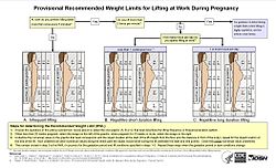 An infographic showing a flow chart leading to three diagrams, each showing two human figures depicting different lengths of gestation, with a grid showing weight limits for different locations in front of the body