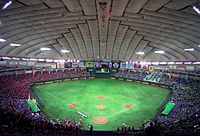 Tokyo Dome 2007-1.jpg