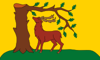 Vlag van Berkshire.svg