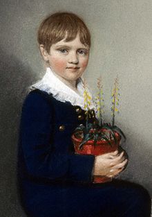 Three quarter length portrait of seated boy smiling and looking at the viewer. He has straight mid-brown hair, and wears dark clothes with a large frilly white collar. In his lap he holds a pot of flowering plants
