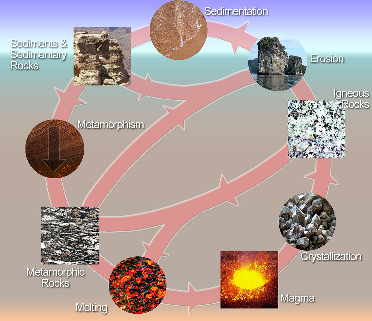 ادناه على احافير يوضح الرسم الجيولوجية الطبقات تحتوي لصخور لحظة قصاص