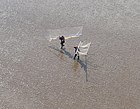 Haaf Net Fishermen, Solway Estuary - geograph.org.uk - 612827.jpg