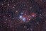NGC 2264 Christmas Tree Nebula.jpg