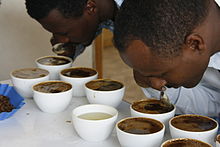 Two men hold spoons over a row of cups filled with coffee.