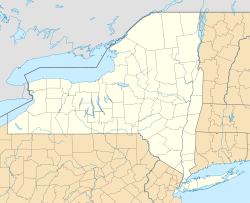 Madison Square Garden está localizado em Nova York