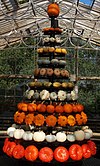 White, green, and orange squashes built into a Christmas tree shape