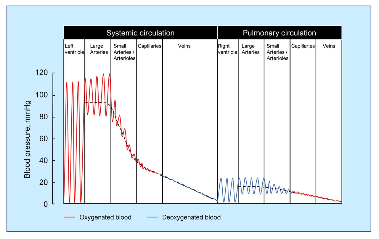 Kan basıncı sınıflandırma tablosu
