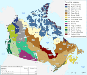Map showing Canada divided into different ecozones