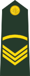 OR-5 insignia