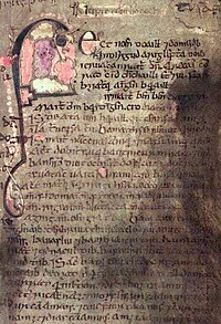 หนังสือของ Leinster, folio 53.jpg