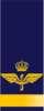 SWE-Airforce-fänrik.png