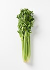 Celery 2.jpg