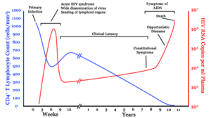 A graph with two lines. One in blue moves from high on the right to low on the left with a brief rise in the middle. The second line in red moves from zero to very high then drops to low and gradually rises to high again