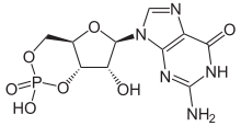 Fórmula esquelética de monofosfato de guanosina cíclico