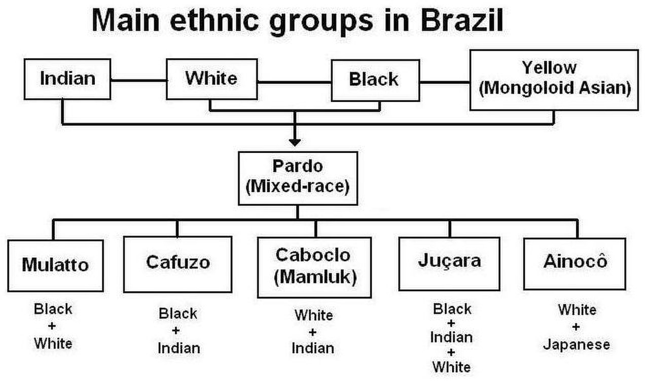 ديموغرافيات البرازيل