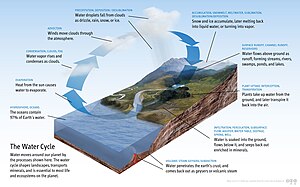 Water typically evaporates over water surfaces like oceans and is transported to land via the atmosphere. Precipitation in the form of snow, rain and more then brings it back to the surface. A system of rivers brings the water back to oceans and seas.